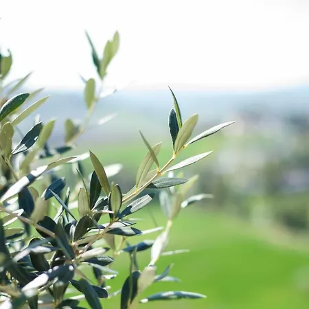 La Pietra Bed and breakfast Grottazzolina